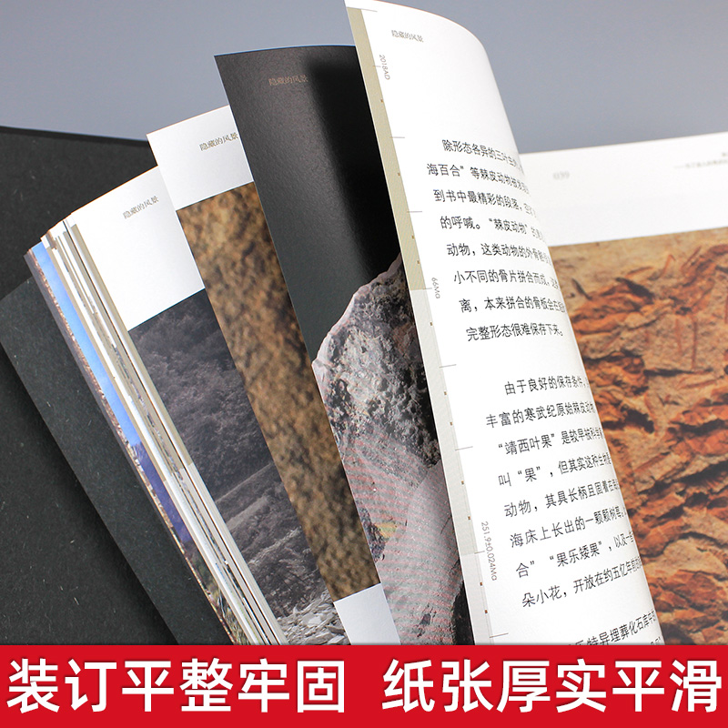 隱藏的風景·廣西古生物化石記(重達1.9公斤) 隱藏的風景·廣西古生物化石記(重達1.9公斤)