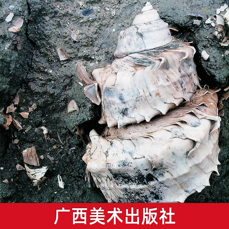 隱藏的風景·廣西古生物化石記(重達1.9公斤) 隱藏的風景·廣西古生物化石記(重達1.9公斤)