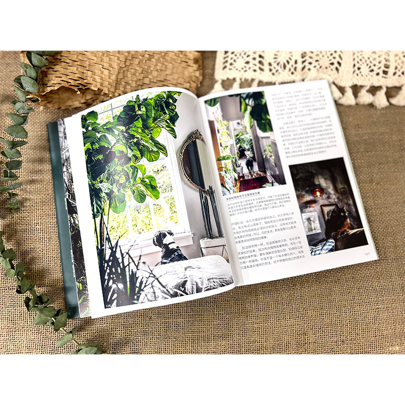 限時優惠：原價2288；植物風格1+2+3：綠植軟裝設計與養護+綠植達人的森林家居營造秘訣+植物裝飾手作指南