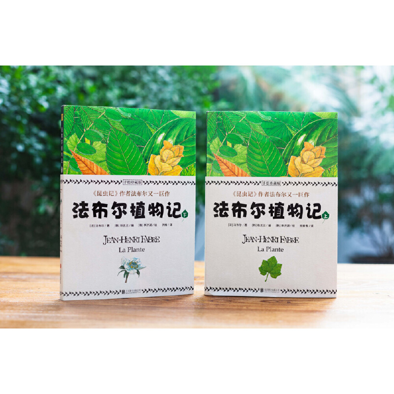 法布爾：昆蟲記（美繪精裝版）+植物記：手繪珍藏版（共四冊）