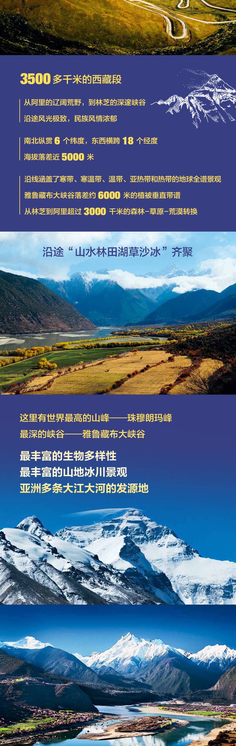 1715951257244303.jpg 详情2.jpg