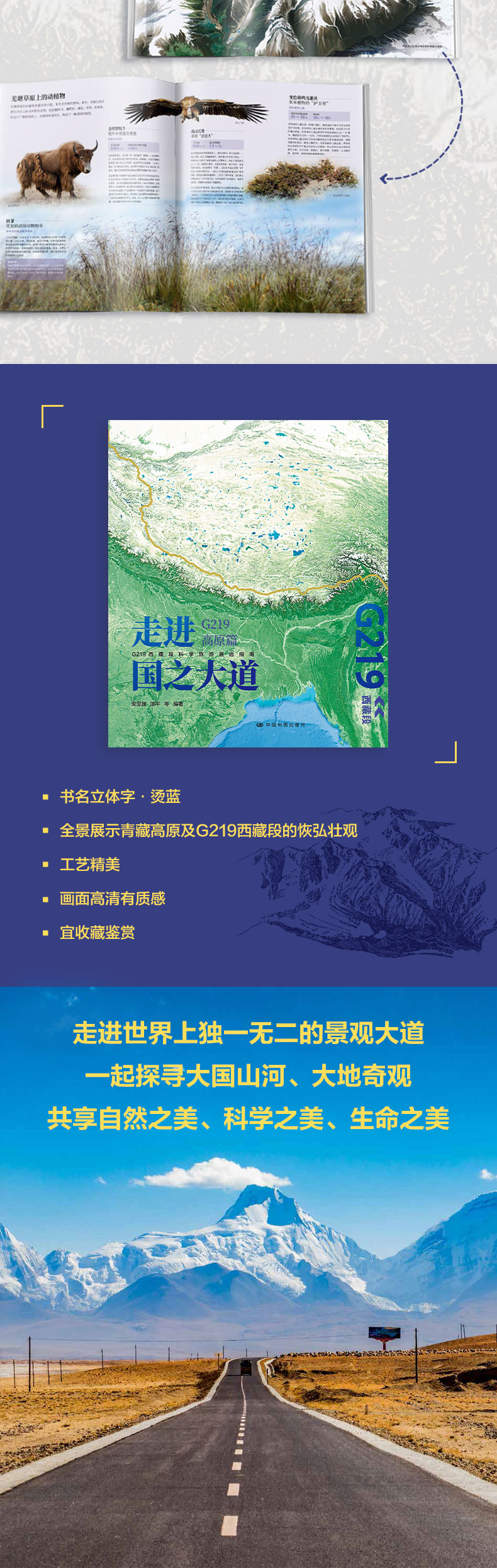 1715951270776458.jpg 详情5.jpg