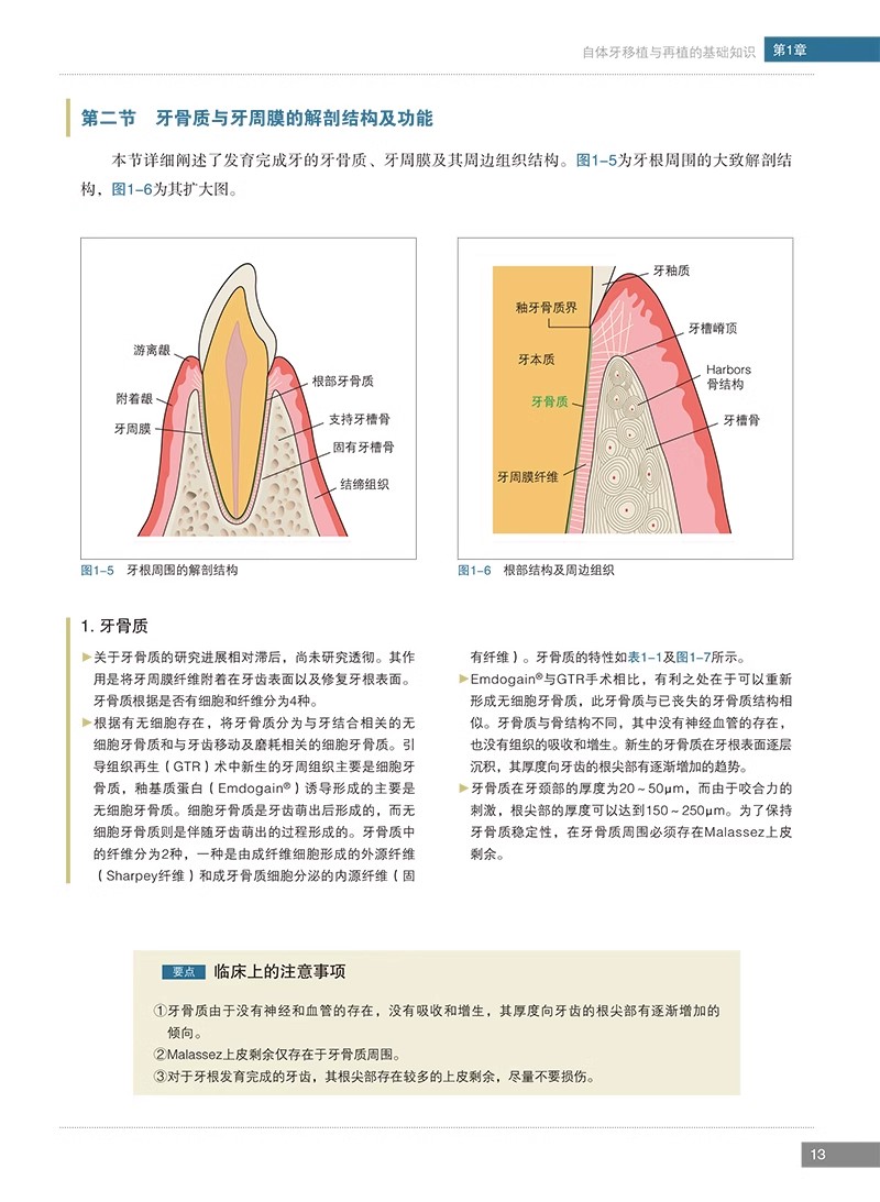 1716988359788494.jpg 详情-07.jpg