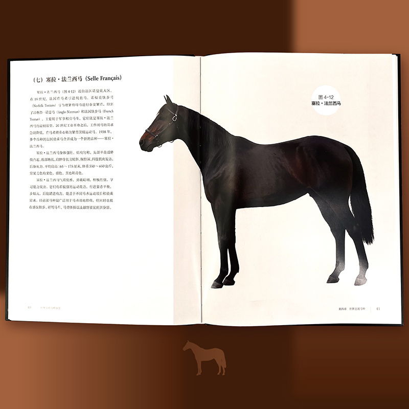 【世界主流馬種鑑賞】 【世界主流馬種鑑賞】
