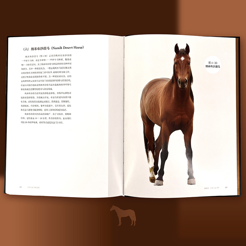 【世界主流馬種鑑賞】 【世界主流馬種鑑賞】