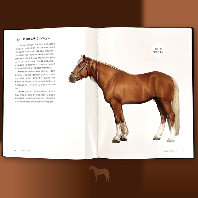 【世界主流馬種鑑賞】 【世界主流馬種鑑賞】