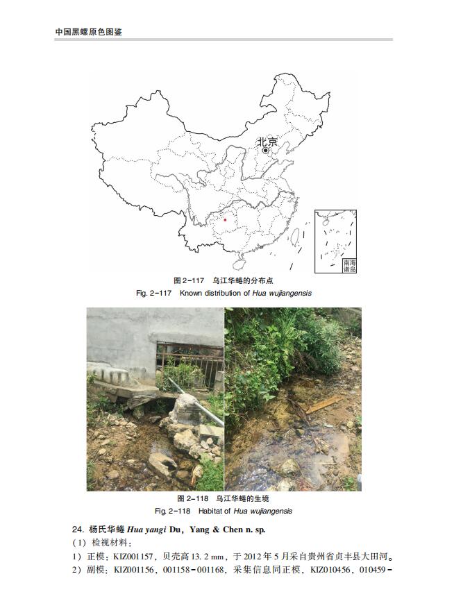 1722000816536768.jpg 详情2.jpg