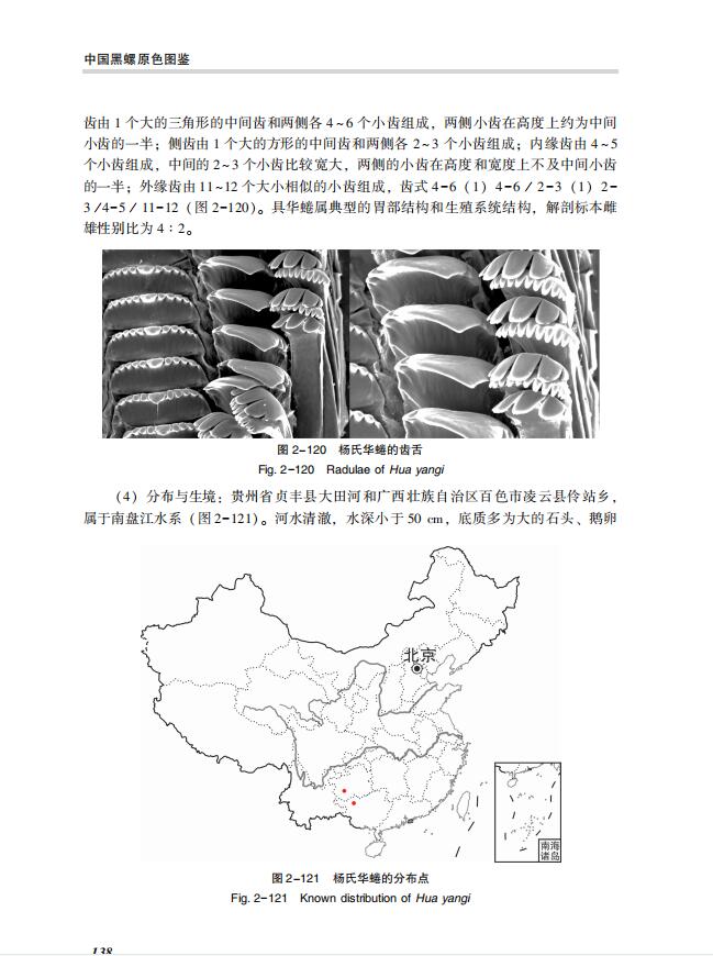 1722000827176768.jpg 详情4.jpg