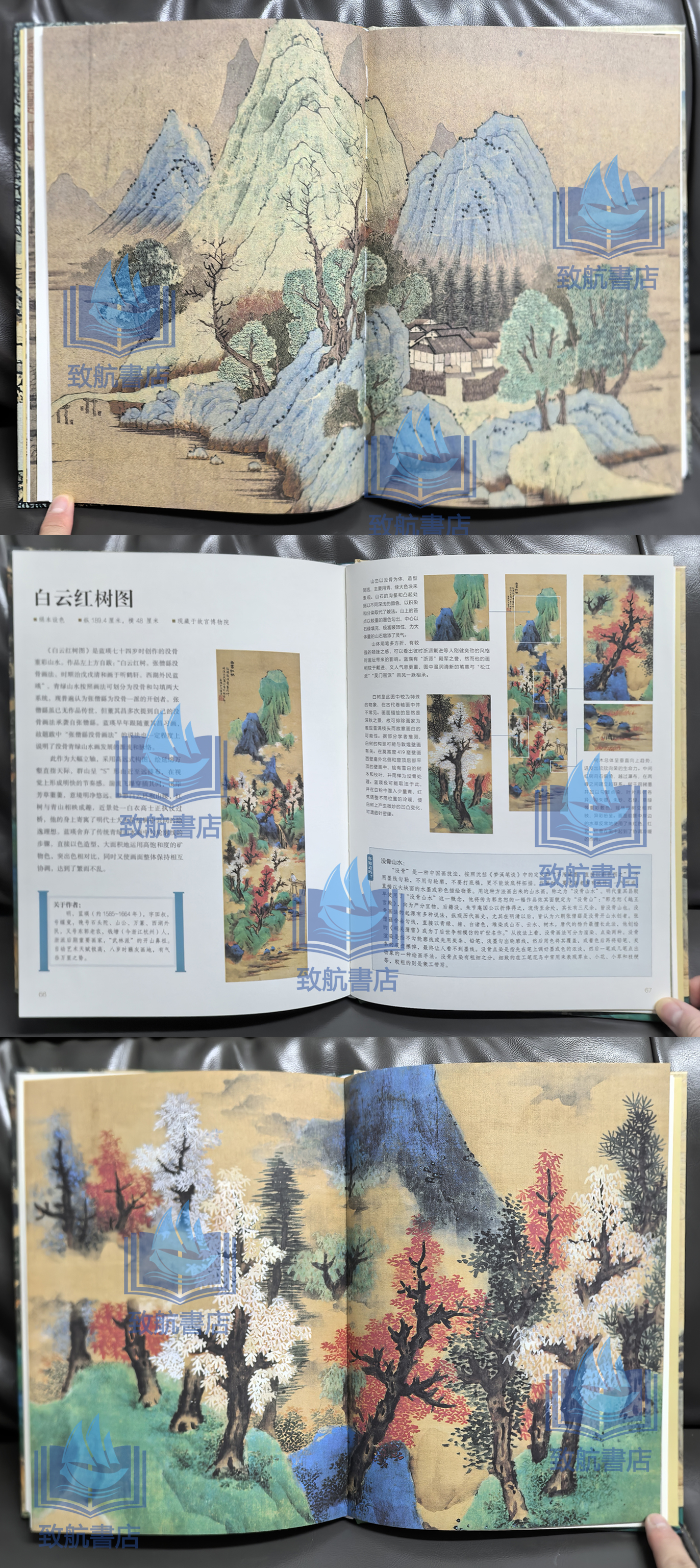 1725894789779733.jpg 实拍8.jpg