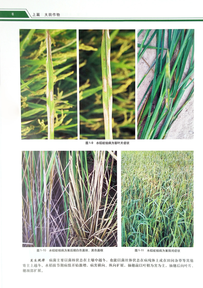 1727100056732598.jpg 详情2.jpg