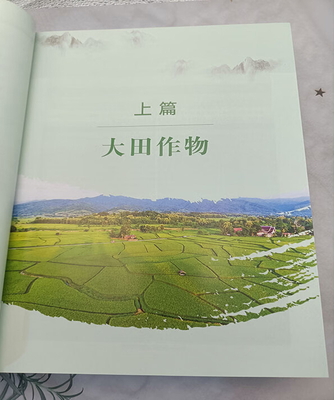 1727100356536266.jpg 实拍1.jpg