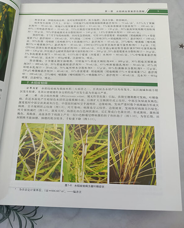 1727100368645024.jpg 实拍3.jpg