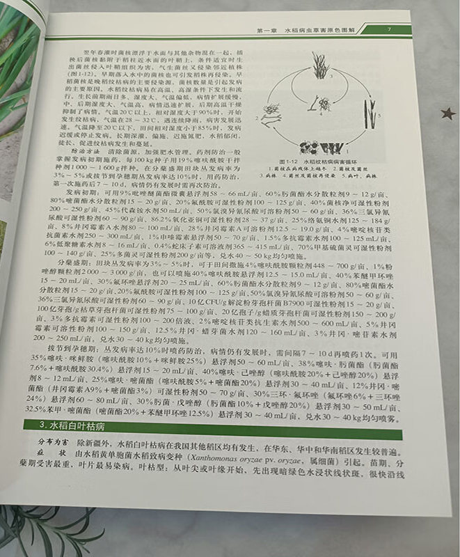 1727100372343517.jpg 是宽了4.jpg