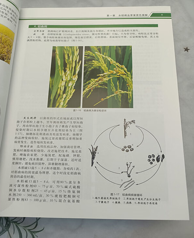 1727100377309977.jpg 实拍5.jpg