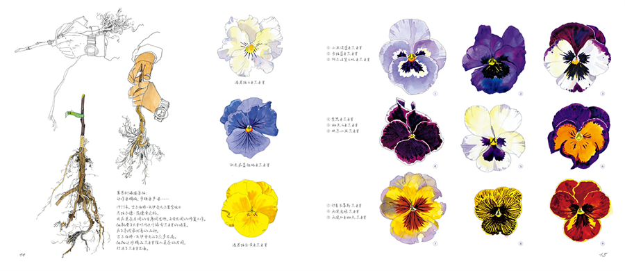 1735398777277287.jpg 书摘4.jpg