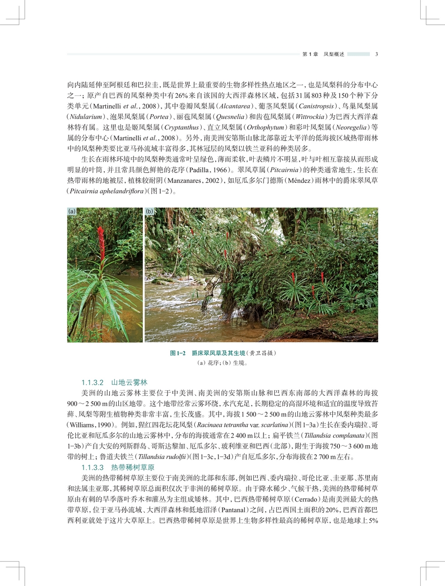 1743565760266822.jpg 详情3.jpg