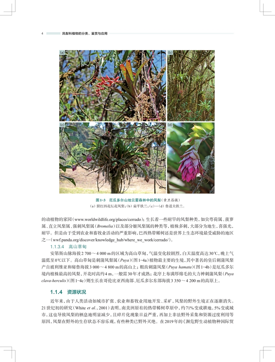 1743565770304754.jpg 详情4.jpg