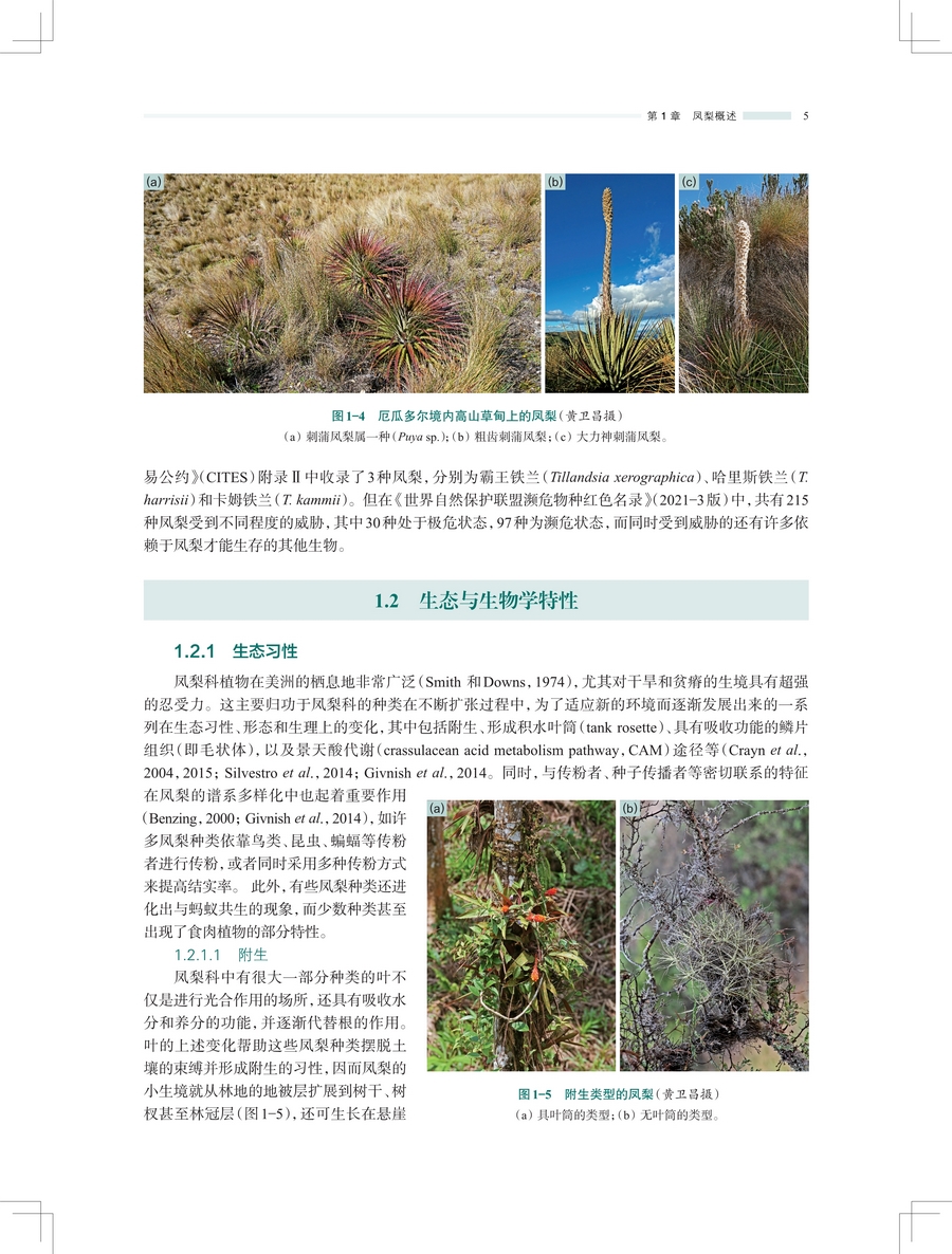 1743565788550383.jpg 详情5.jpg