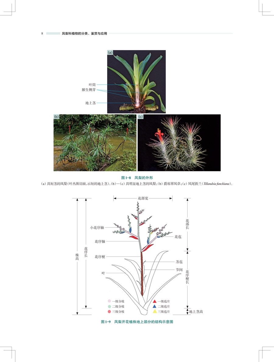 1743565807390762.jpg 详情8.jpg