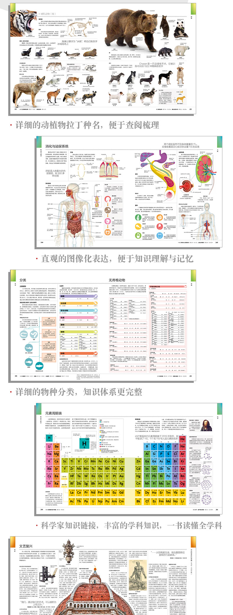 1753971099173571.jpg 详情3.jpg