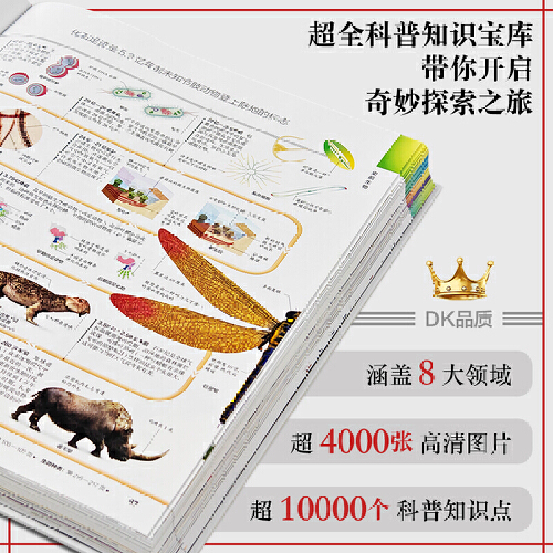 2025年新書推薦:【DK探索大百科】一本幾乎涵蓋人類所有知識領域的綜合性百科全書 2025年新書推薦:【DK探索大百科】一本幾乎涵蓋人類所有知識領域的綜合性百科全書