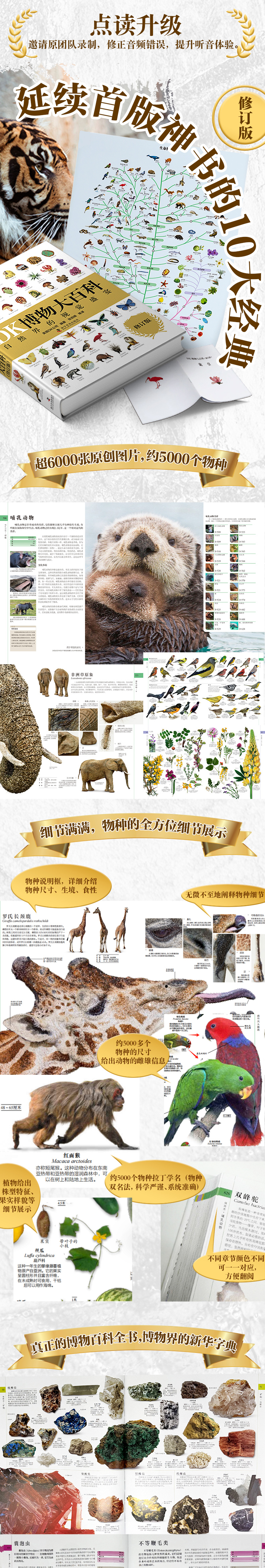 1754451889722304.jpg 详情2.jpg