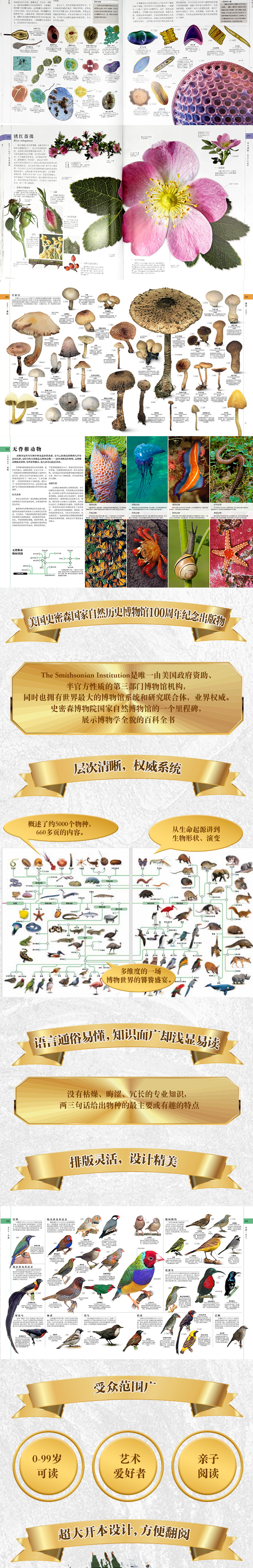 1754451899824801.jpg 详情3.jpg