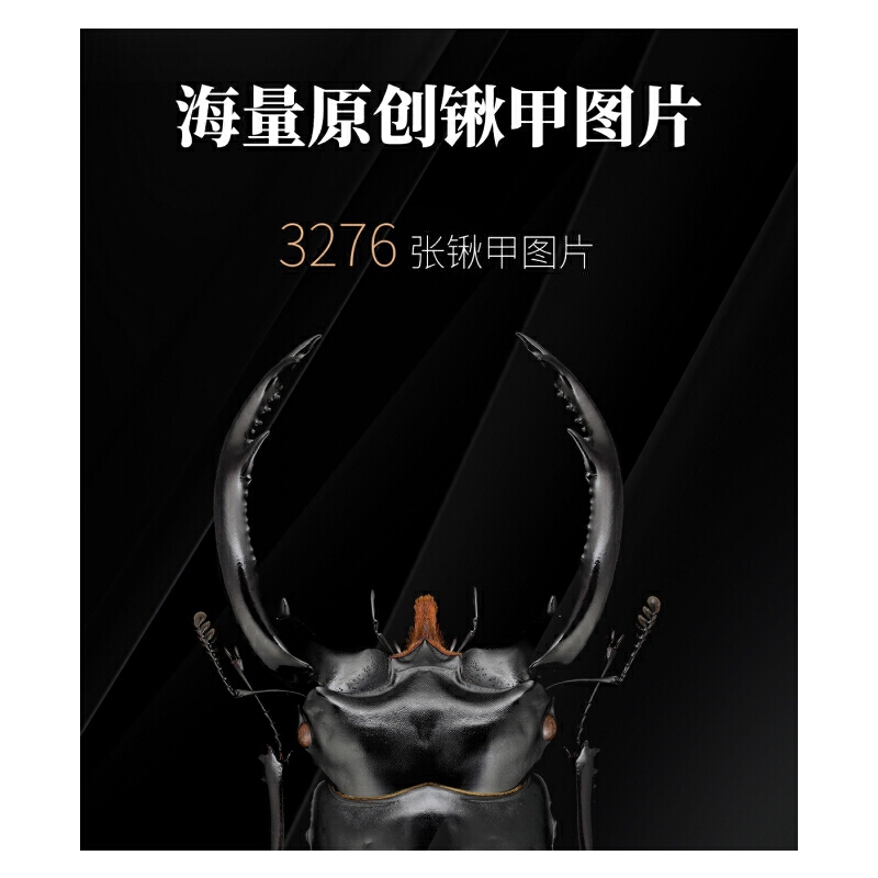 2025年新書推薦：【中國鍬甲大圖鑒】