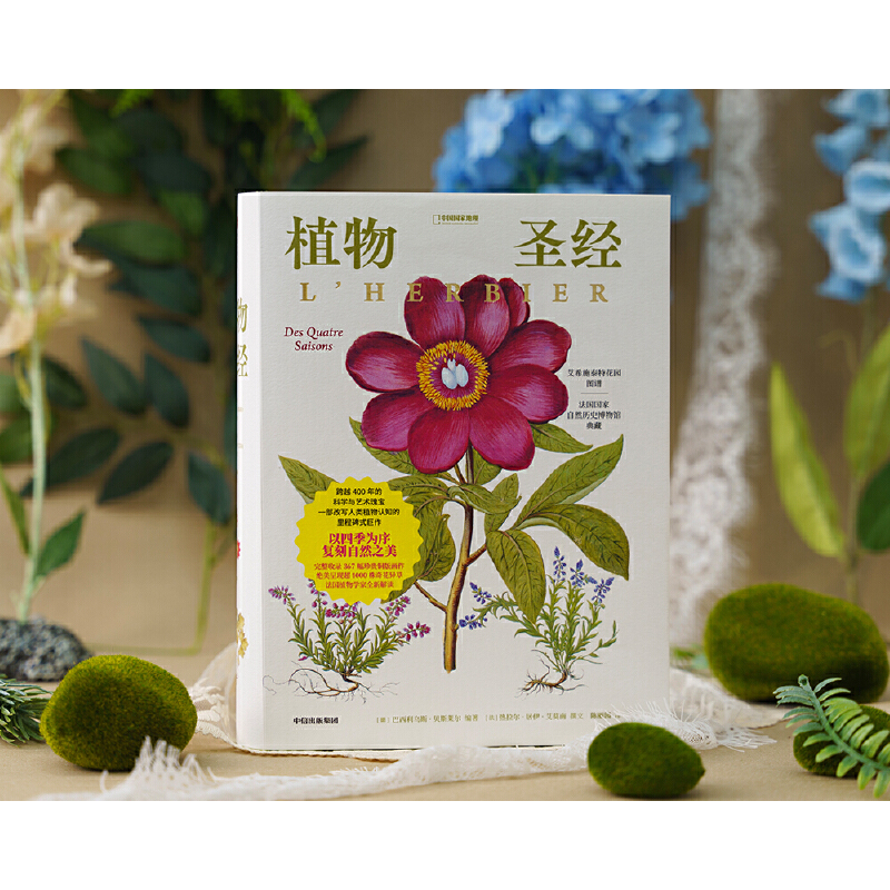 2025新書推薦：【植物聖經】（法國國家自然歷史博物館典藏全彩復刻，跨越400年的科學與藝術瑰寶，一部改寫人類植物認知的里程碑式巨作）