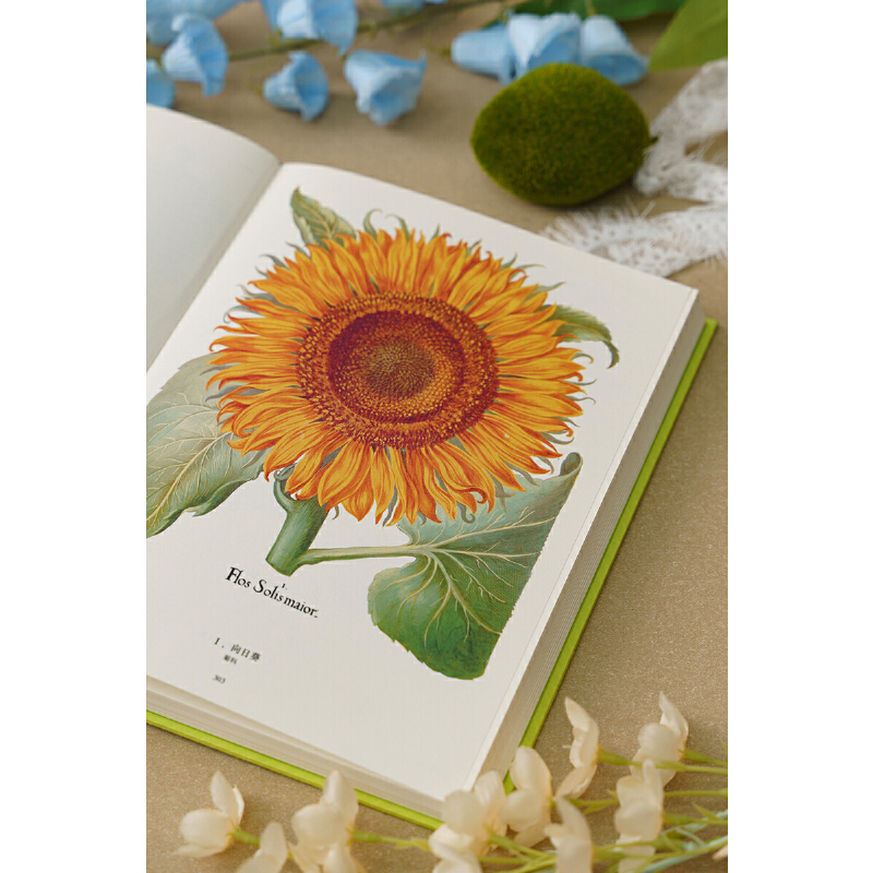 2025新書推薦：【植物聖經】（法國國家自然歷史博物館典藏全彩復刻，跨越400年的科學與藝術瑰寶，一部改寫人類植物認知的里程碑式巨作）