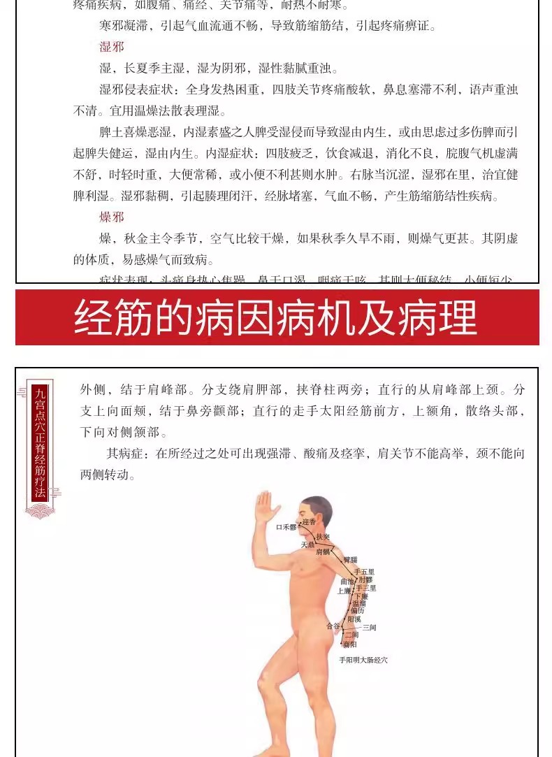 1764938723733067.jpeg imgi_16_O1CN01HCrtQc1tK0lNKsthH_!!2429775882.jpeg