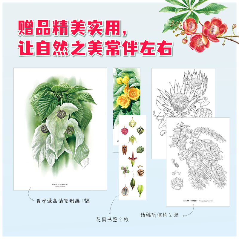 2025新書推薦:【曾孝濂爺爺畫給孩子的植物課】精裝2冊 2025新書推薦:【曾孝濂爺爺畫給孩子的植物課】精裝2冊