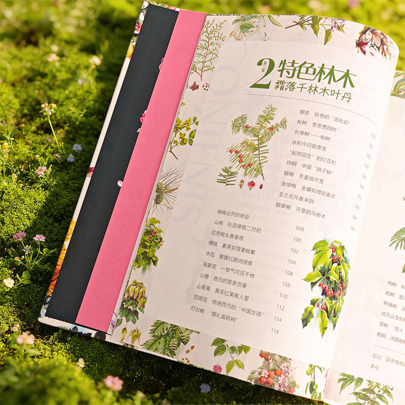 2025新書推薦:【曾孝濂爺爺畫給孩子的植物課】精裝2冊 2025新書推薦:【曾孝濂爺爺畫給孩子的植物課】精裝2冊