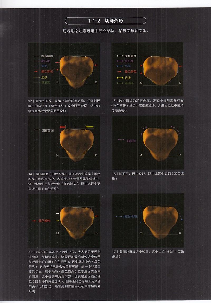 1782998644960499.jpg 19.jpg