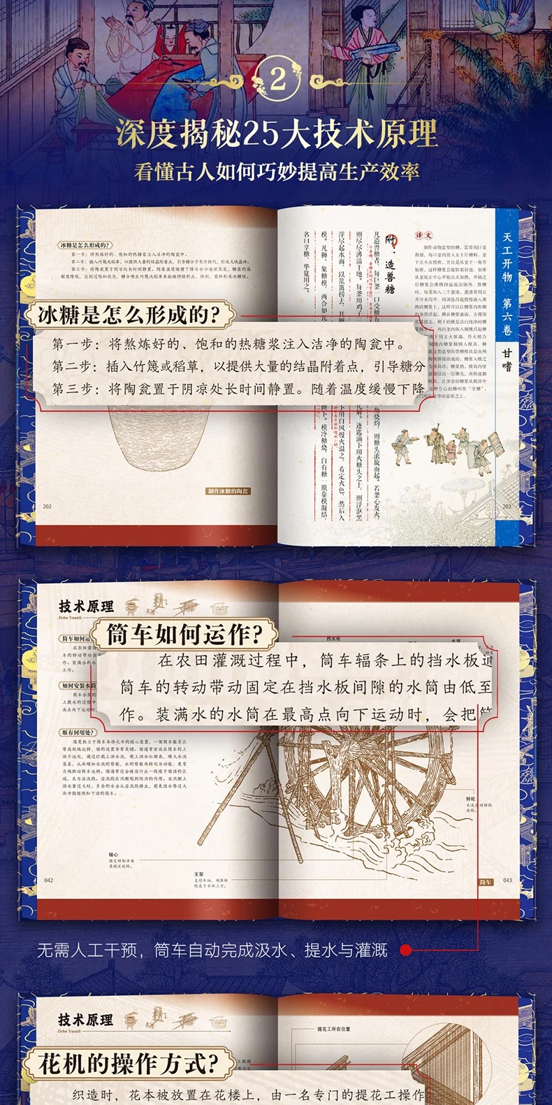 1785595075387797.jpeg 详情6.jpeg